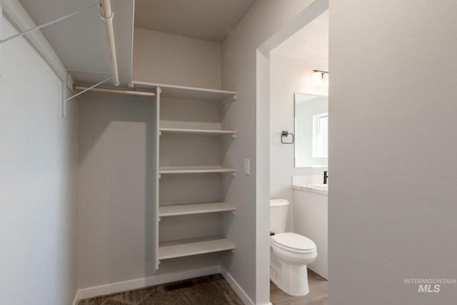 4403 N Magical Creek Ave, Meridian, ID 83646 - view of spacious closet