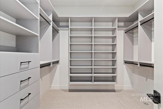 9989 W Bouvardia St, Star, ID 83669 - spacious closet featuring carpet