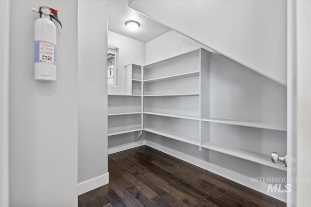 3631 S Pheasant Tail Way, Boise, ID 83716 - view of pantry