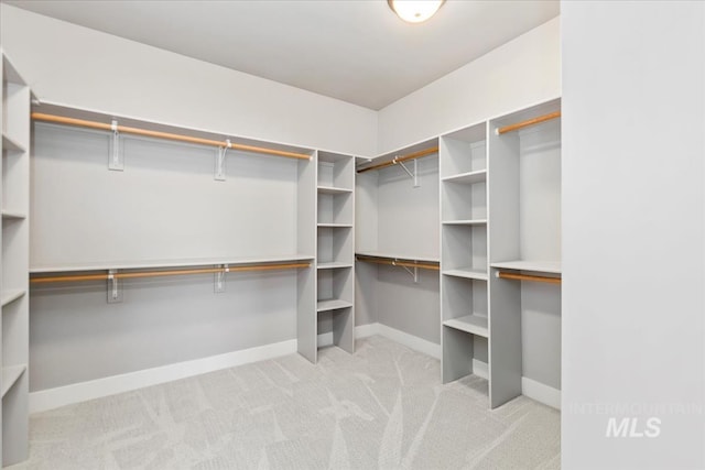 3631 S Pheasant Tail Way, Boise, ID 83716 - walk in closet featuring carpet floors