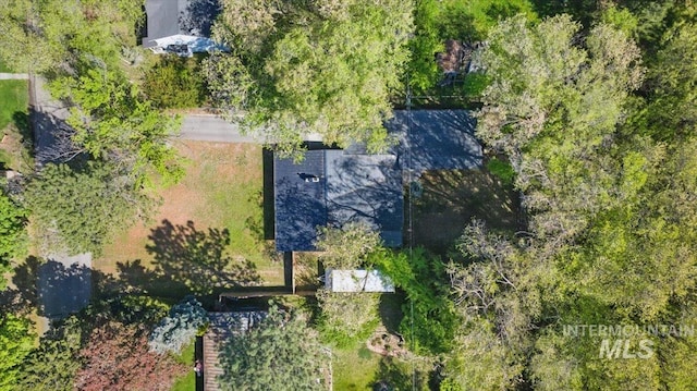 bird's eye view