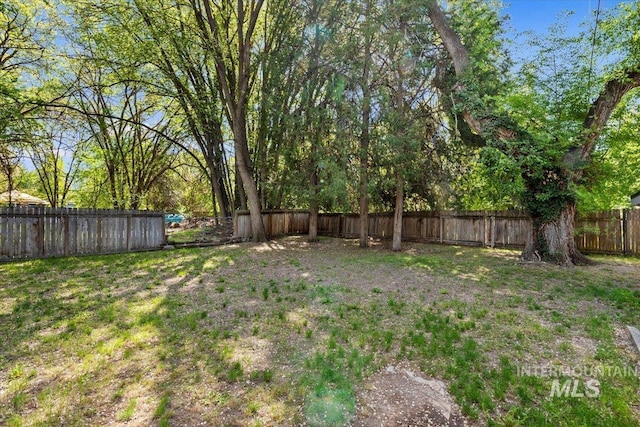 view of yard with a fenced backyard