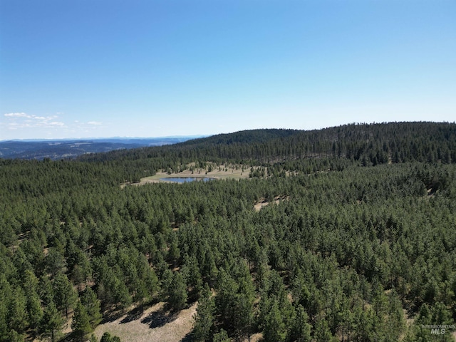aerial view of a forest and a large body of water