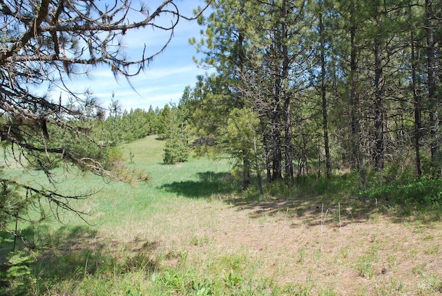 view of tree filled area