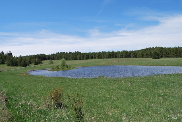 water view featuring a heavily wooded area