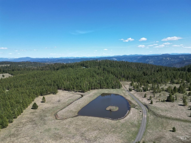 drone / aerial view of a forest and mountains