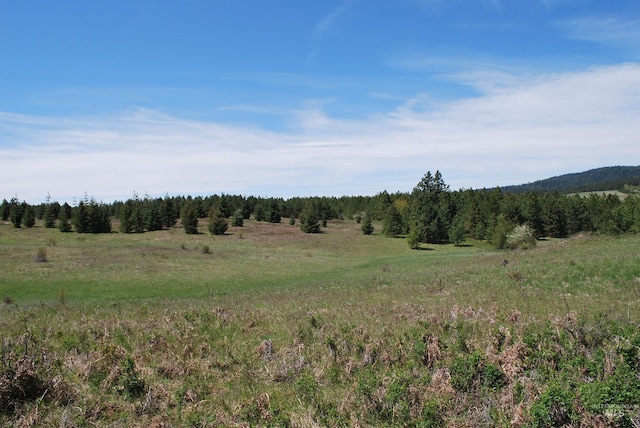view of nature featuring rural landscape