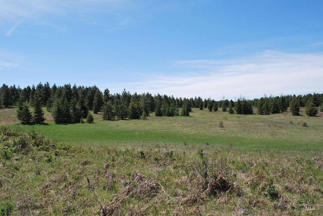 view of wooded area with a view of rural / pastoral area