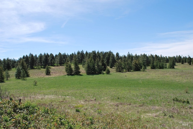 view of undeveloped land featuring rural landscape