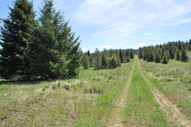 view of wooded area