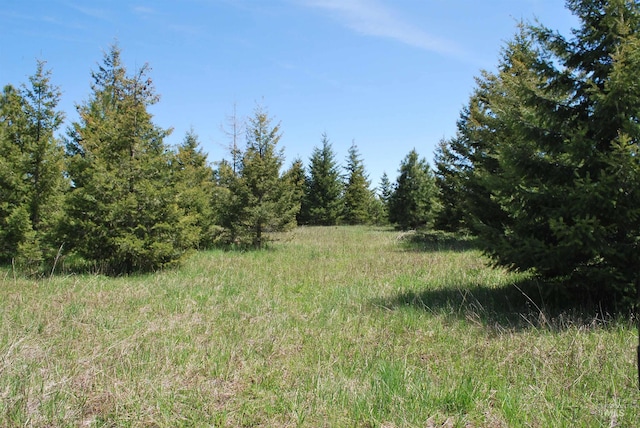 view of nature