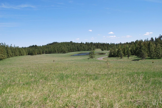 view of wooded area featuring a water view