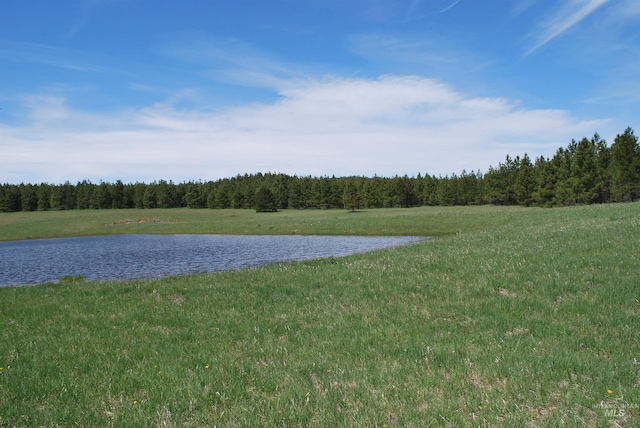 water view with a forest