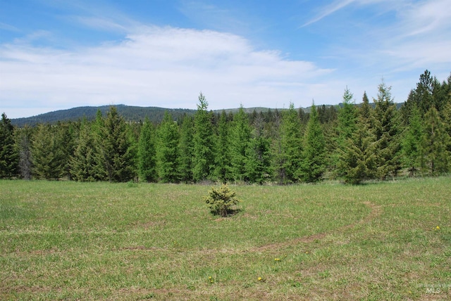 view of mountain background featuring a heavily wooded area