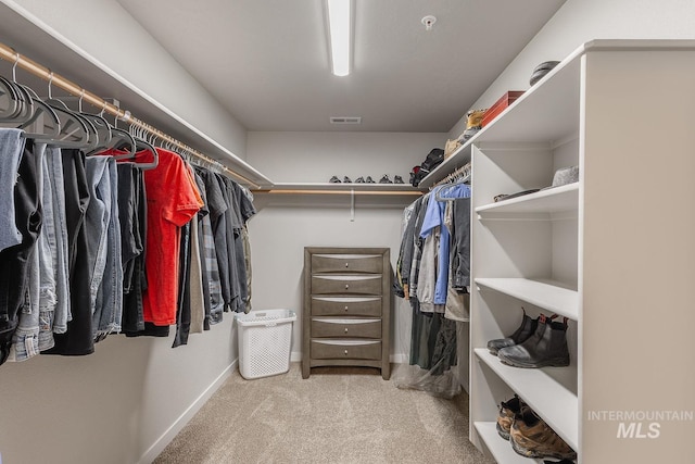 8228 S Bogus Ridge Ave, Boise, ID 83716 - walk in closet featuring carpet flooring