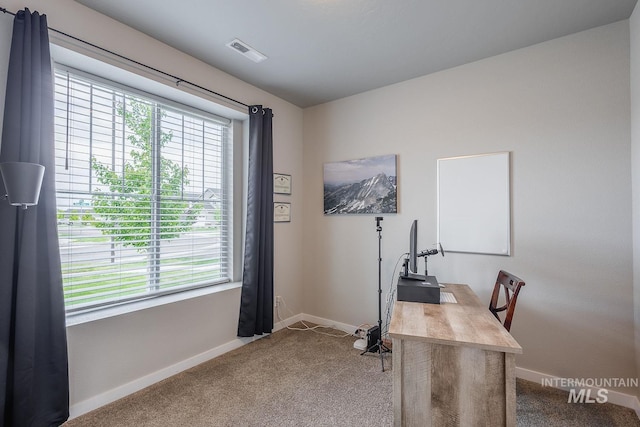 8228 S Bogus Ridge Ave, Boise, ID 83716 - office space featuring healthy amount of natural light, carpet, and baseboards