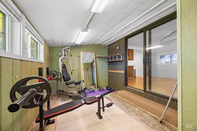 workout room featuring wood walls and carpet