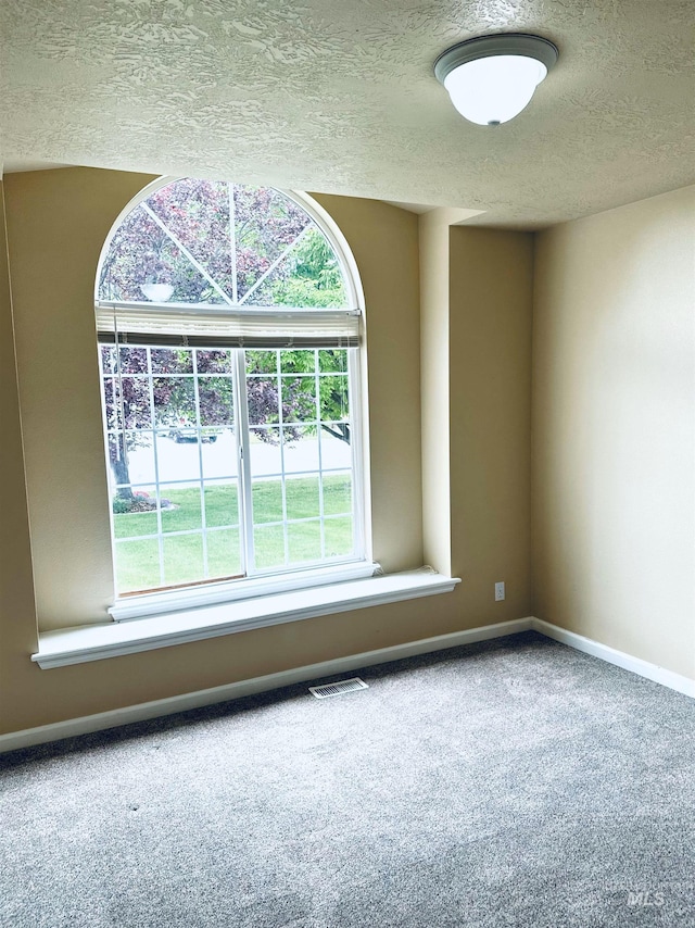 851 W Florida, Nampa, ID 83686 - unfurnished room with carpet flooring, healthy amount of natural light, a textured ceiling, and baseboards