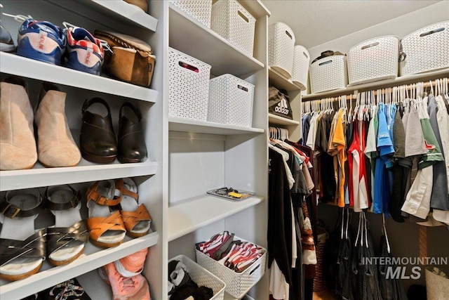 view of spacious closet
