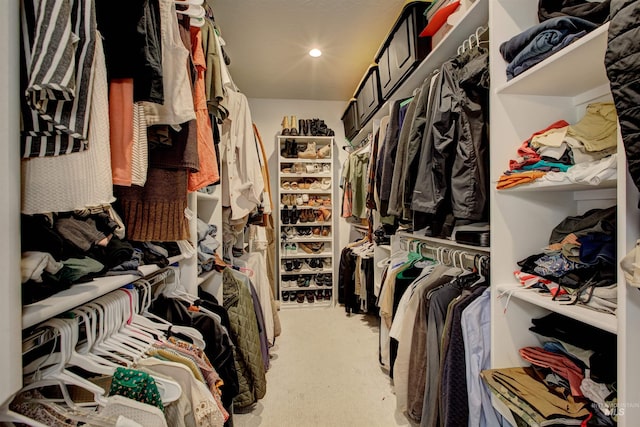 walk in closet featuring carpet flooring