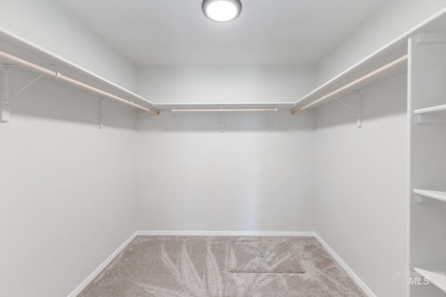 spacious closet with carpet flooring