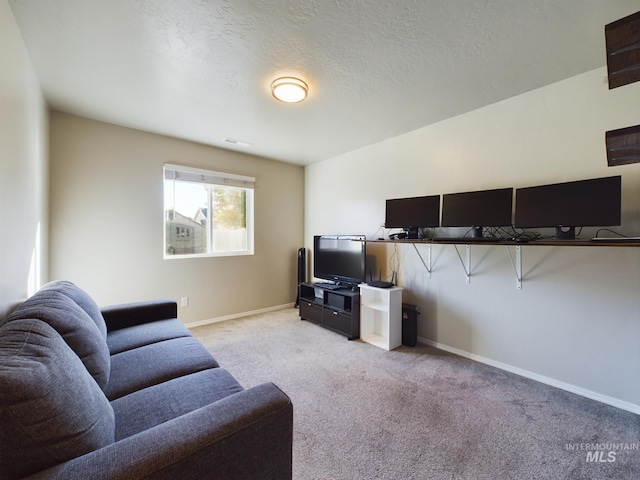 5122 Allentown St, Caldwell, ID 83605 - living area with light carpet, baseboards, and a textured ceiling