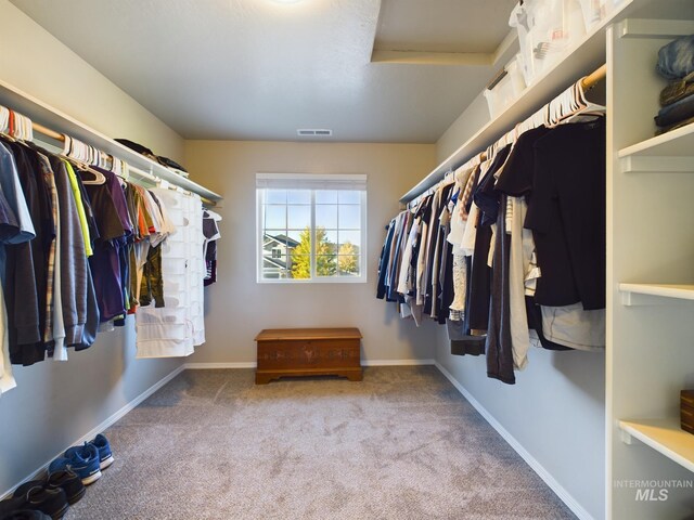 5122 Allentown St, Caldwell, ID 83605 - spacious closet featuring carpet floors