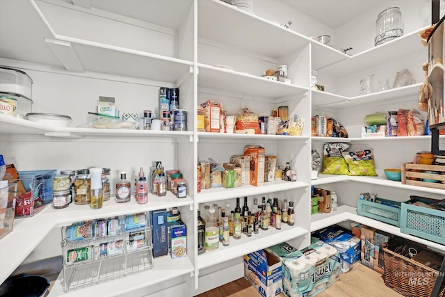 view of pantry