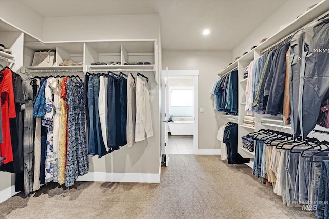 spacious closet with carpet