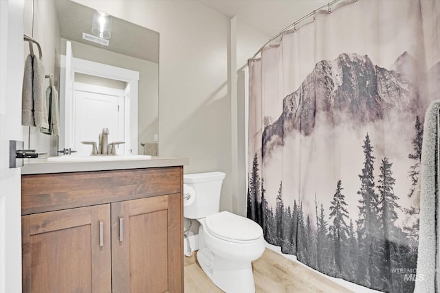 full bathroom featuring toilet, vanity, and a shower with shower curtain