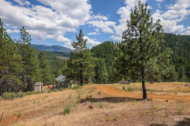 28 Hillman Basin Rd, New Meadows, ID 83654