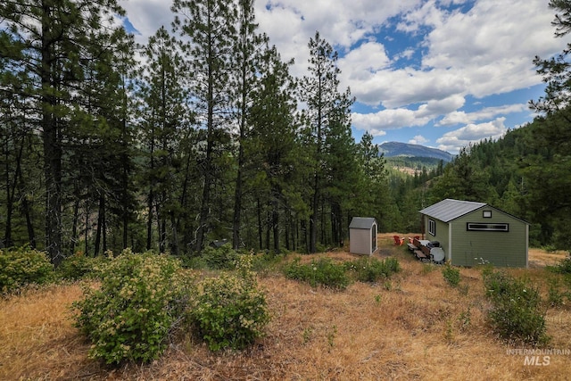 28 Hillman Basin Rd, New Meadows, ID 83654