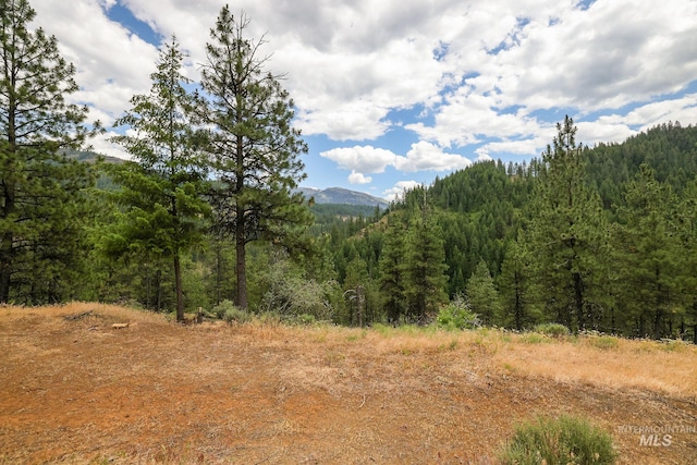 28 Hillman Basin Rd, New Meadows, ID 83654