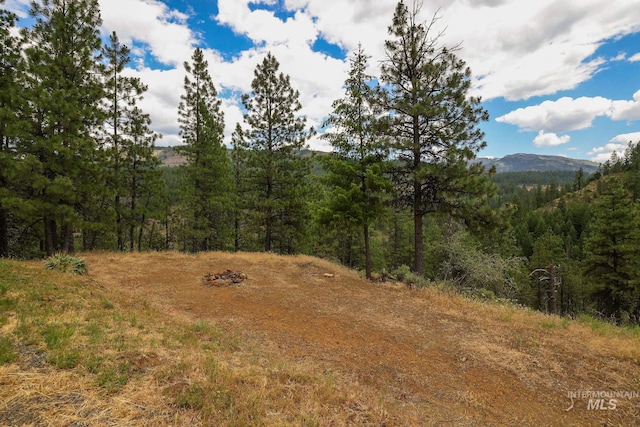 28 Hillman Basin Rd, New Meadows, ID 83654