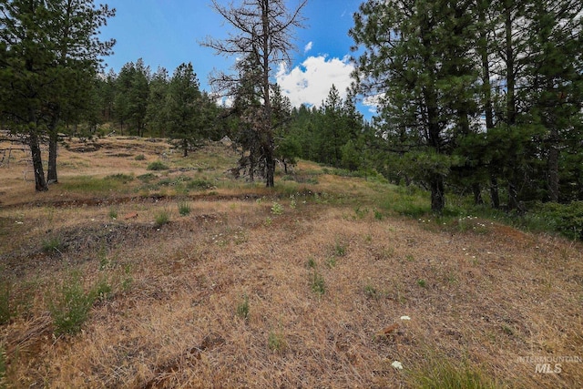 28 Hillman Basin Rd, New Meadows, ID 83654