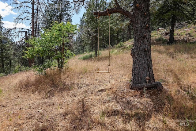 28 Hillman Basin Rd, New Meadows, ID 83654
