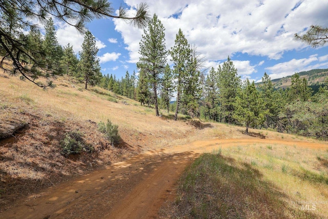 28 Hillman Basin Rd, New Meadows, ID 83654