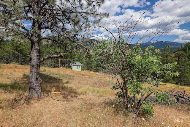 28 Hillman Basin Rd, New Meadows, ID 83654