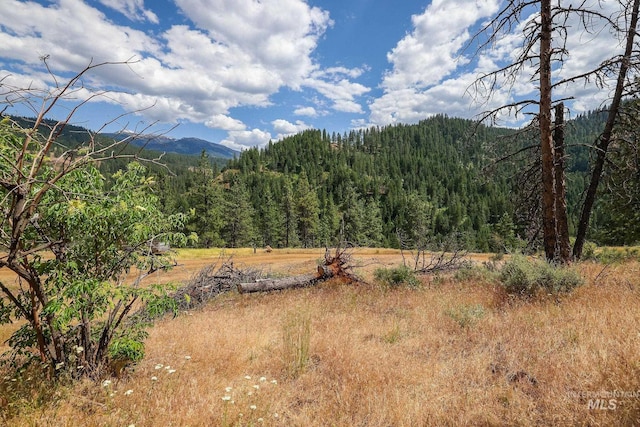28 Hillman Basin Rd, New Meadows, ID 83654