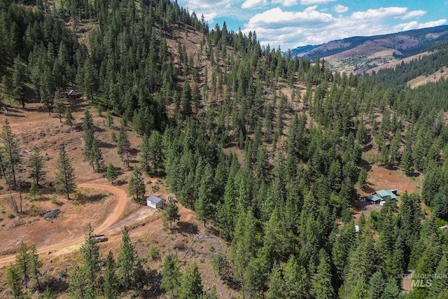 28 Hillman Basin Rd, New Meadows, ID 83654