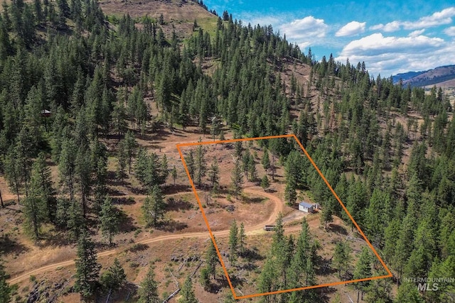 28 Hillman Basin Rd, New Meadows, ID 83654