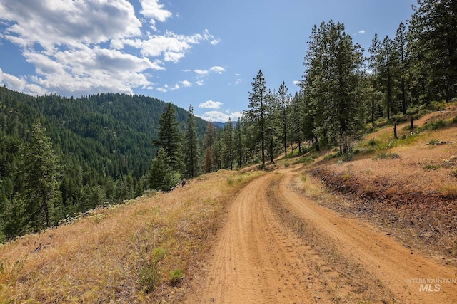 28 Hillman Basin Rd, New Meadows, ID 83654