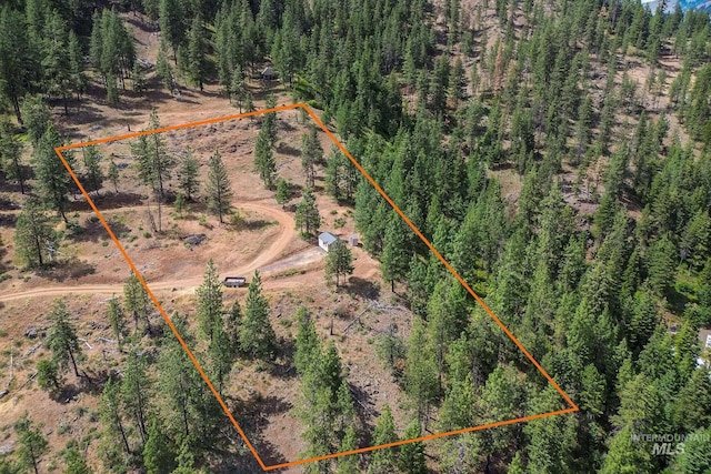 28 Hillman Basin Rd, New Meadows, ID 83654