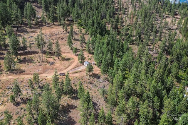 28 Hillman Basin Rd, New Meadows, ID 83654
