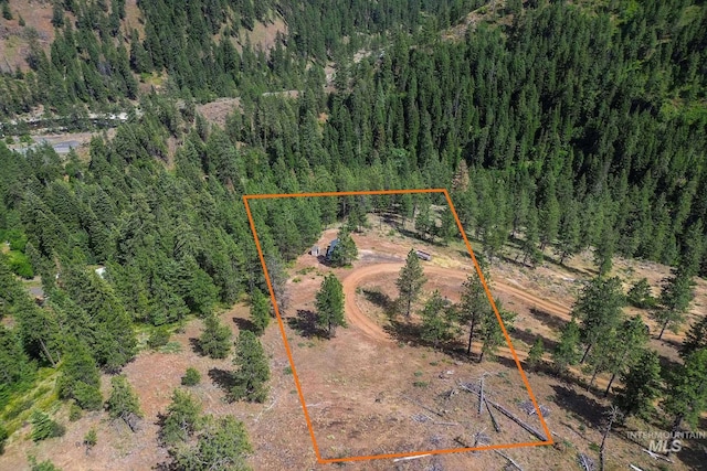 28 Hillman Basin Rd, New Meadows, ID 83654