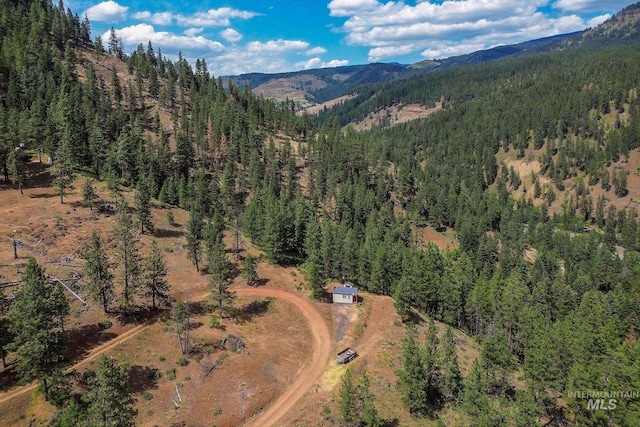 28 Hillman Basin Rd, New Meadows, ID 83654