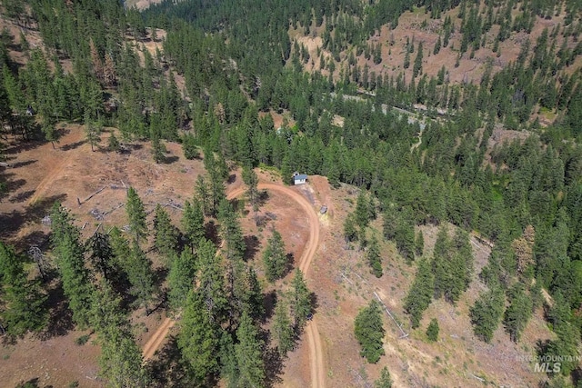 28 Hillman Basin Rd, New Meadows, ID 83654