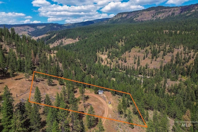 28 Hillman Basin Rd, New Meadows, ID 83654