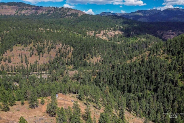 28 Hillman Basin Rd, New Meadows, ID 83654
