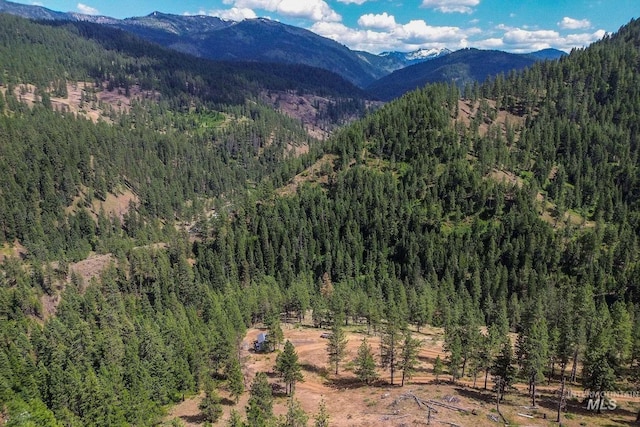 28 Hillman Basin Rd, New Meadows, ID 83654